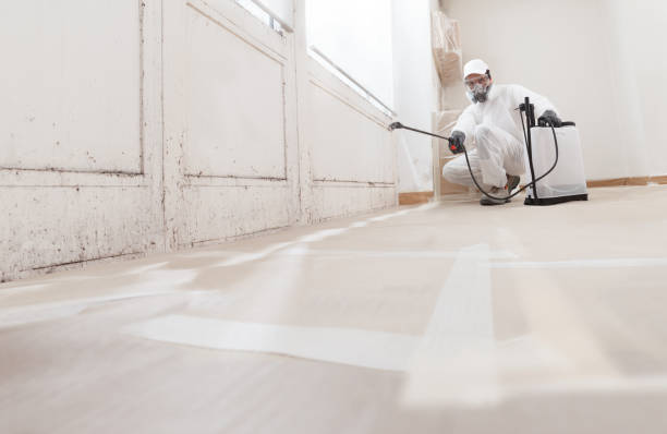 24/7 Emergency Bathroom Mold Removal experts in Westmont, PA
